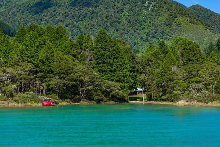 1 Nydia Bay Pelorus Sound_7