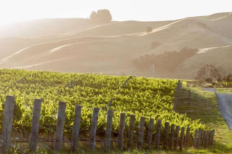 24 Barracks Road Hawkesbury_7