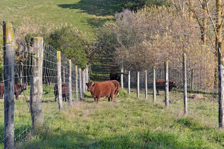 233 Redwood Valley Road Redwood Valley_20