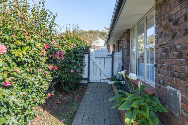 28a Halswater Drive Churton Park_8