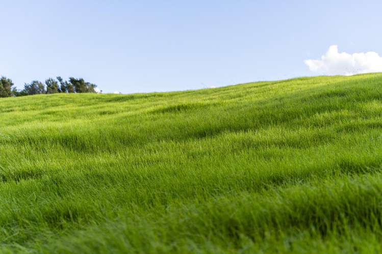 45C Finlayson Road Matarau_5