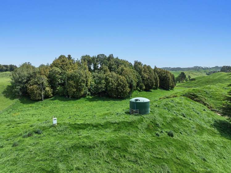 103 Rendall Road Rotoma_14