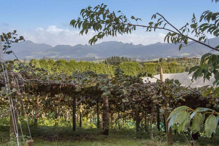 416 State Highway 2 Katikati_24