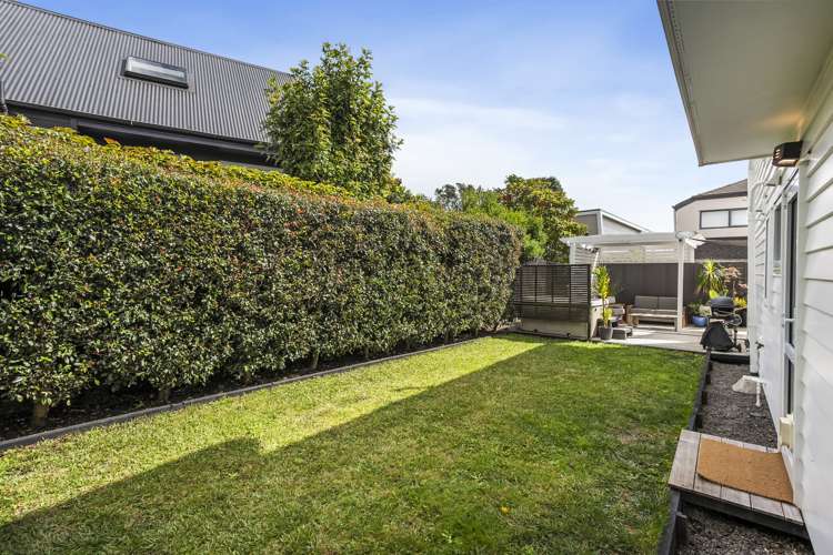 20a Seaview Terrace Mount Albert_5