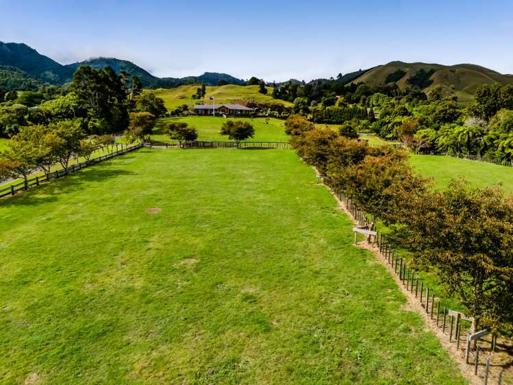 Weld Road Upper Oakura_13