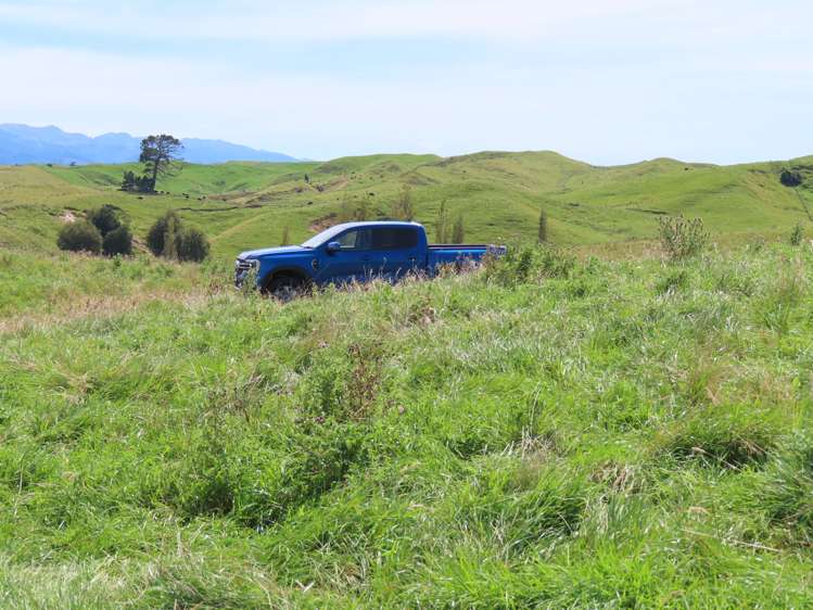 254A Maunga Road Dannevirke_6