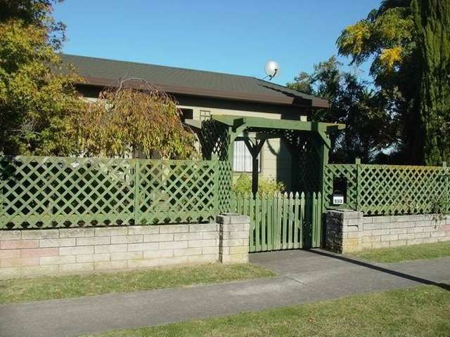 133 Georges Drive Napier South_1