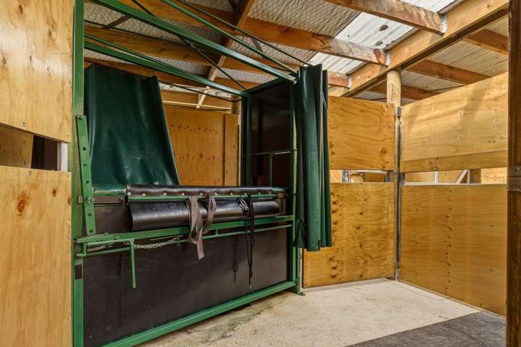 Lot 1 Anakoha Bay Marlborough Sounds_32