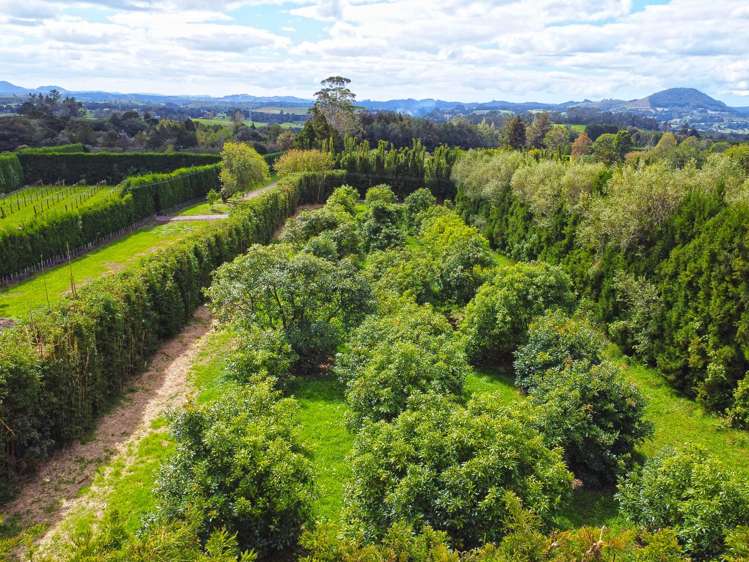 37 Charles Walton Road Maungatapere_23