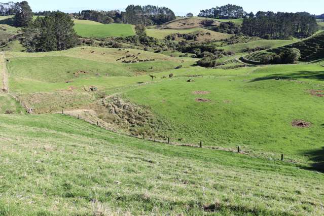 344 Hursthouse Road Inglewood_3