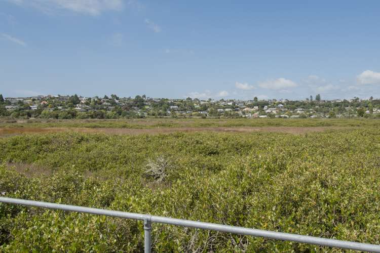 19 Paradise Place Matua_18