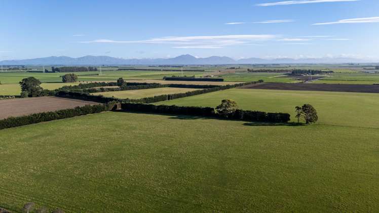 89 Chisnalls Road Hinds_7