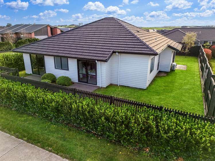 2 Harp Street Morrinsville_18