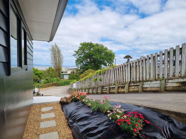 106a Pleasant Wood Place Thames_18