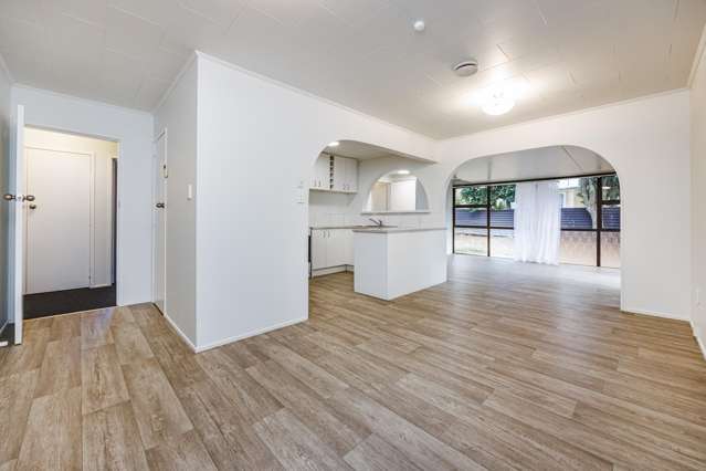 9 MCSHANE STREET Pukekohe_2