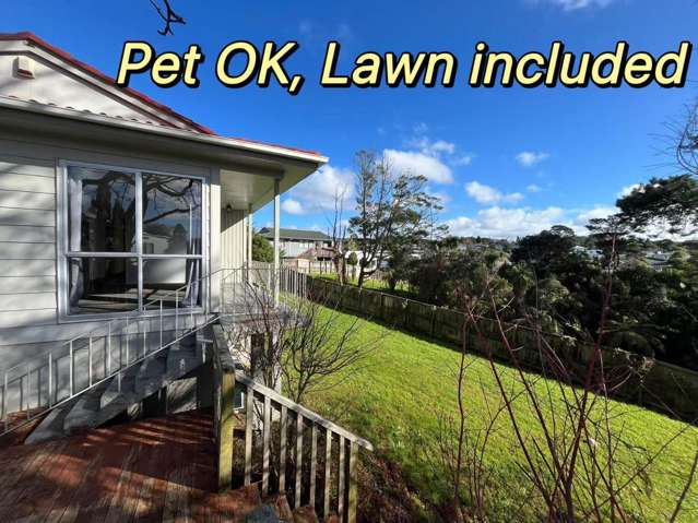 Pet OK 3 bedrooms in Glen Eden