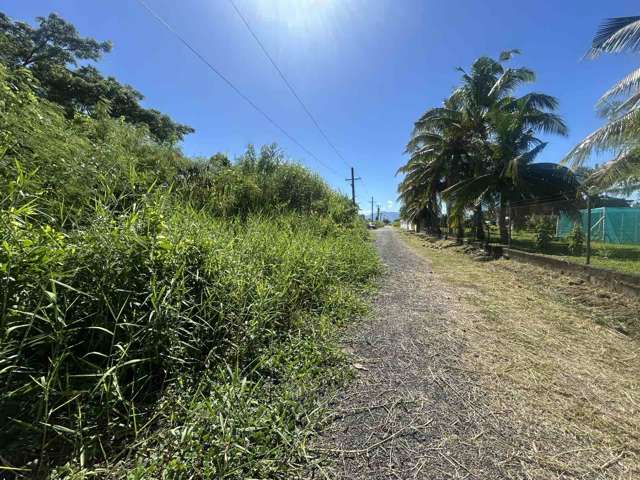 Lot 11 Pali Street Off Nasoso Road Nadi_3
