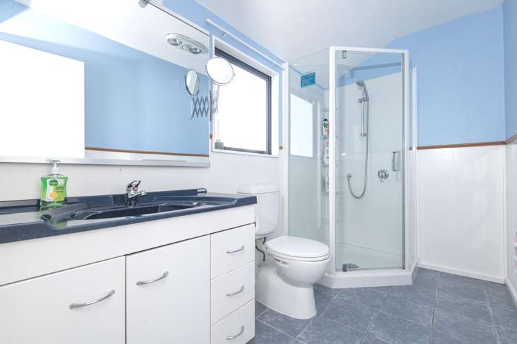 22a Bathgate Street Johnsonville_14