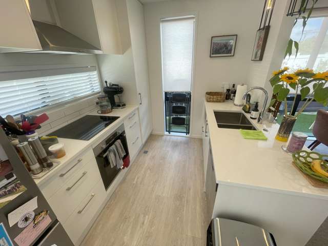 1/28 Riverview Road Panmure_2