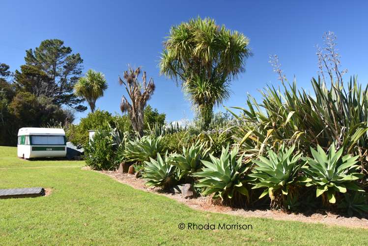 76 Komiti Road Tinopai Kaipara Houses for Sale One Roof