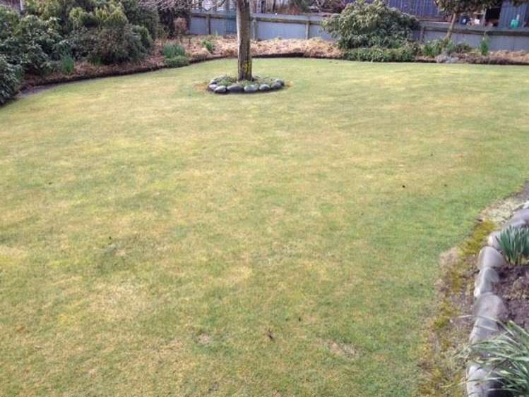 91 Michael Street Rakaia_6