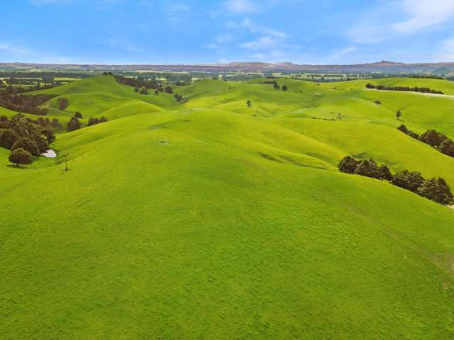 268 Kiritaki Road Dannevirke_3