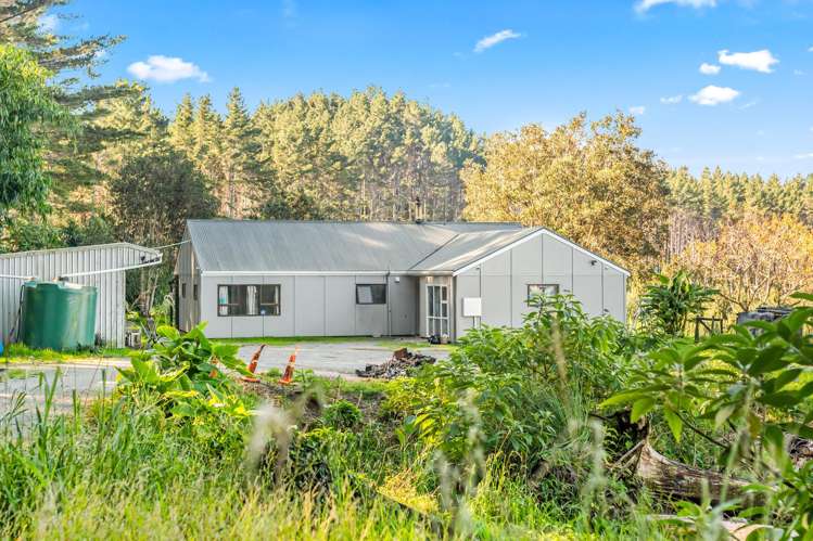 110 Whangape Track Road_5