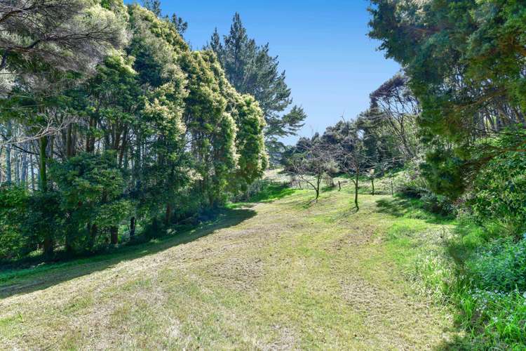 241 Kiwitahi Road Helensville_26