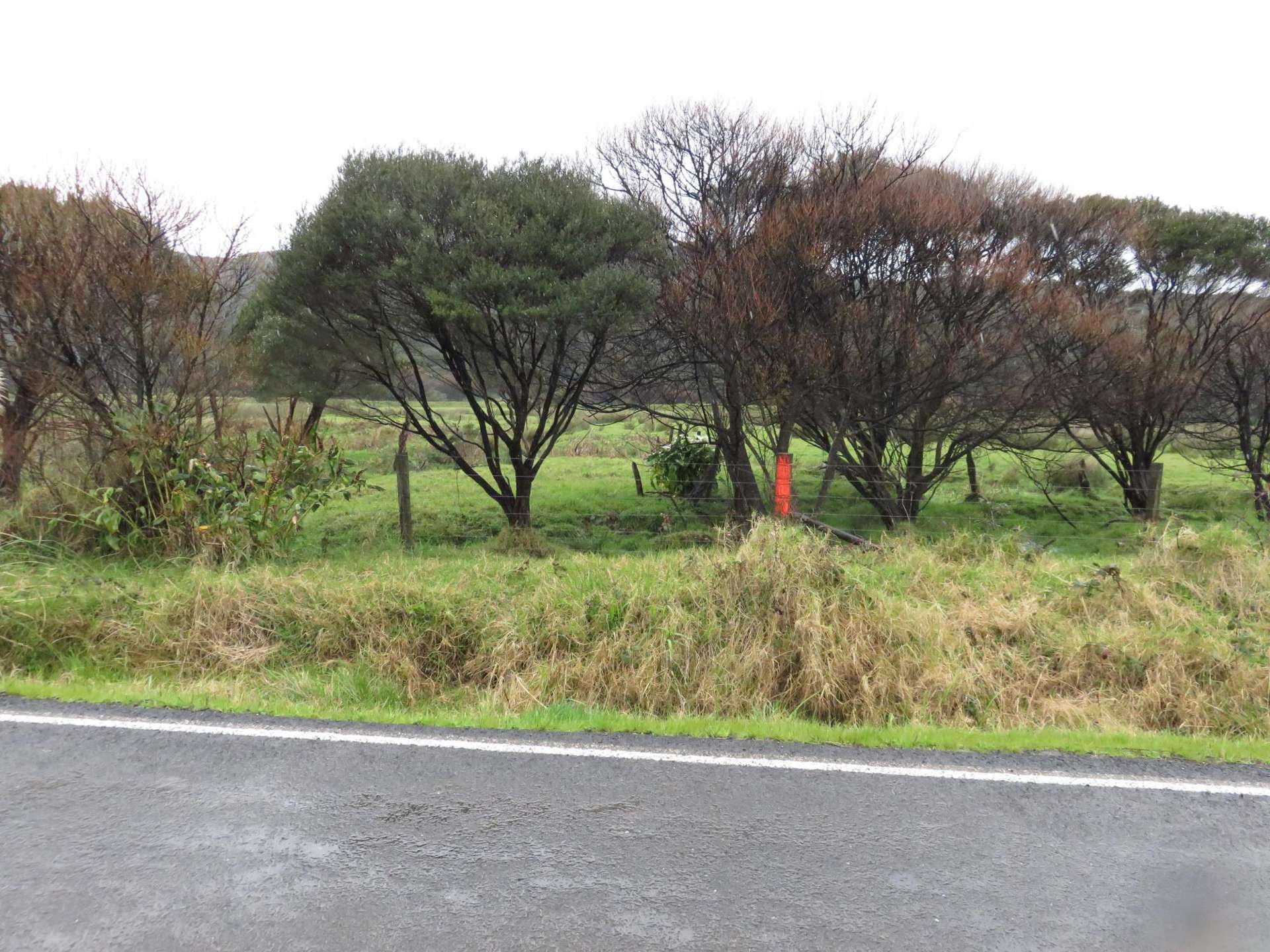 West Coast Road North Hokianga_0