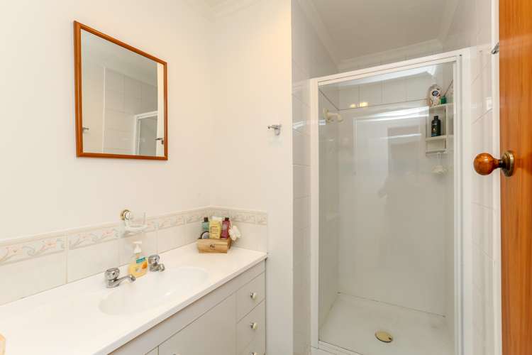 462 South Road Omata_13