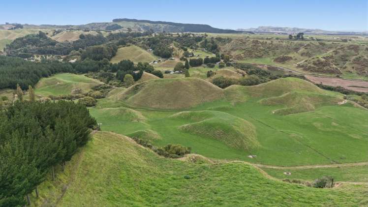 147A Pikowai Road Pikowai_20