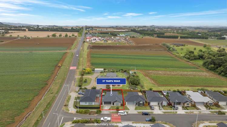 37 Taepu Road Pukekohe_13