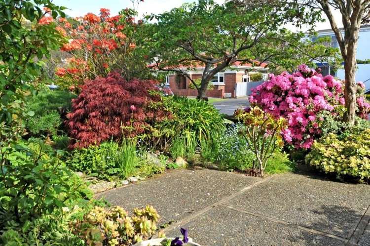 1 Sandringham Street Saint Clair_8