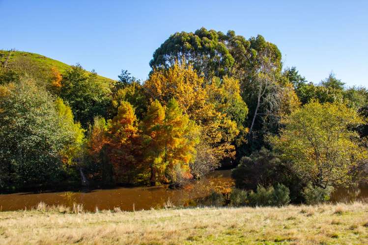 148 Mangatainoka Valley Road Eketahuna_27