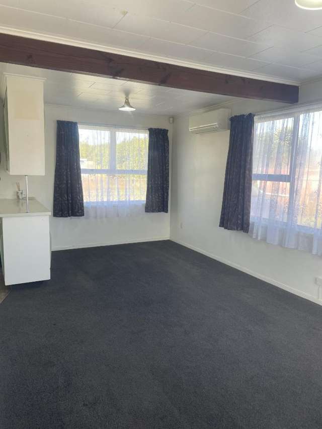 1/12 Grey Street Putaruru_3