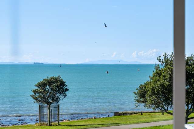 29 Hardinge Road Ahuriri_1