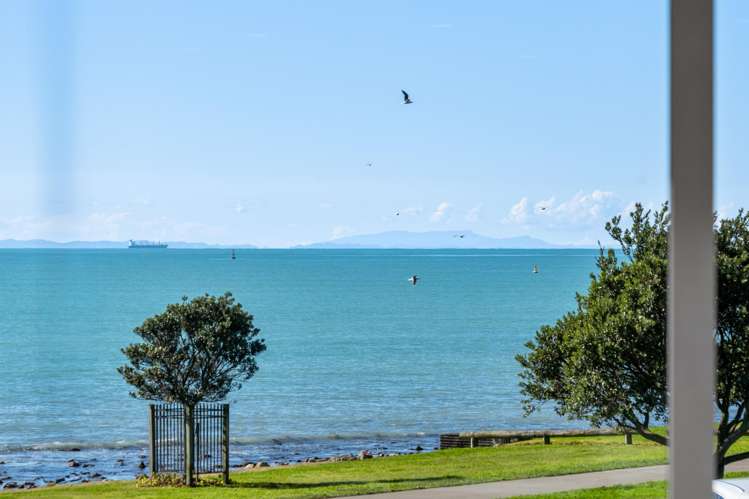 29 Hardinge Road Ahuriri_1