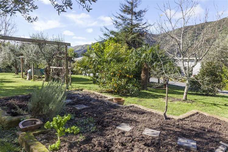 77 Packtrack Road Thames_30