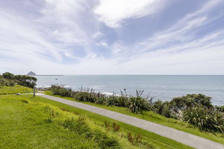 22A Belt Road Moturoa_37