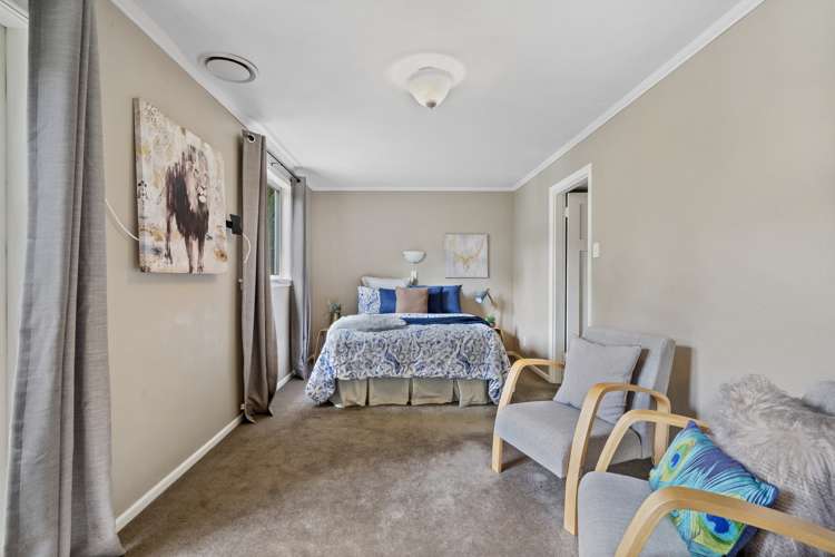 25 Mccoll Street Vogeltown_2
