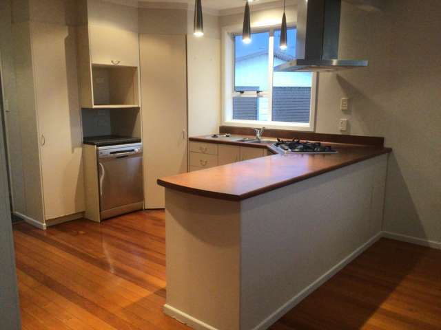 2 Saxton Road Vogeltown_2