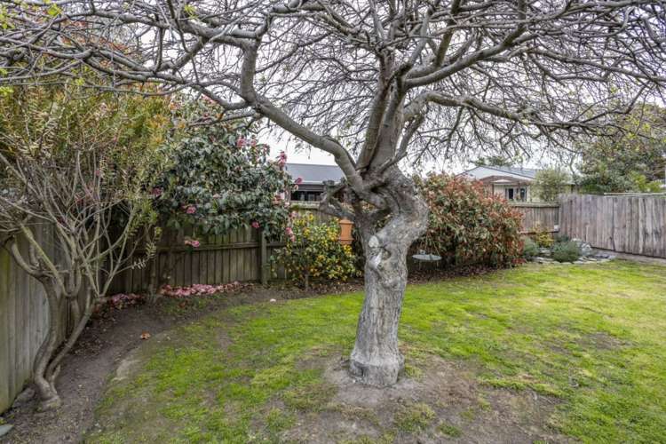 2/17 Sandra Street South New Brighton_21