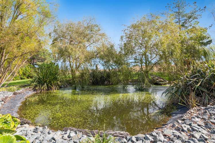 636 Kahikatea Flat Road Waitoki_32