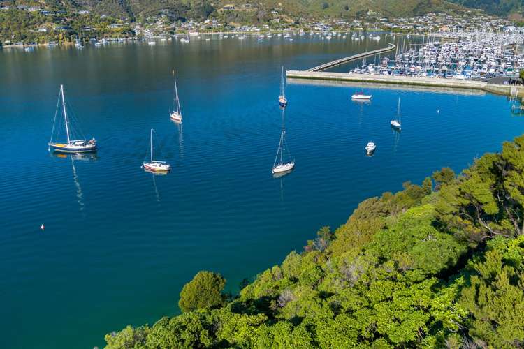 The Snout Waikawa Bay Picton_15