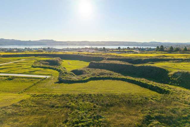 60 Wharariki Rise Wharewaka_4