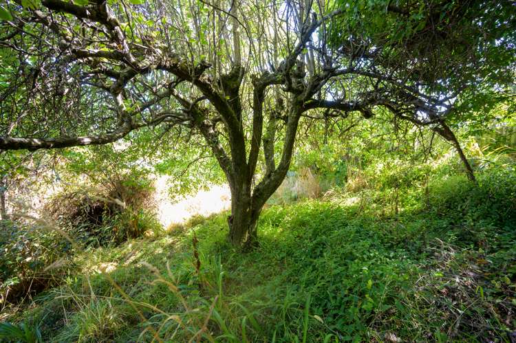 12 Tui Glen Road Atawhai_10