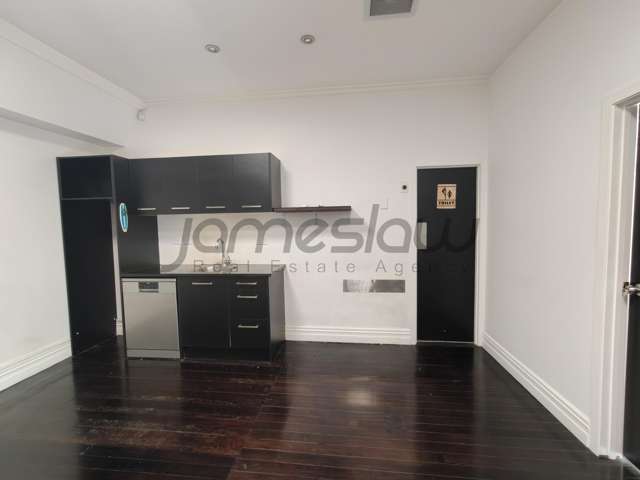 54 Ponsonby Road Grey Lynn_2