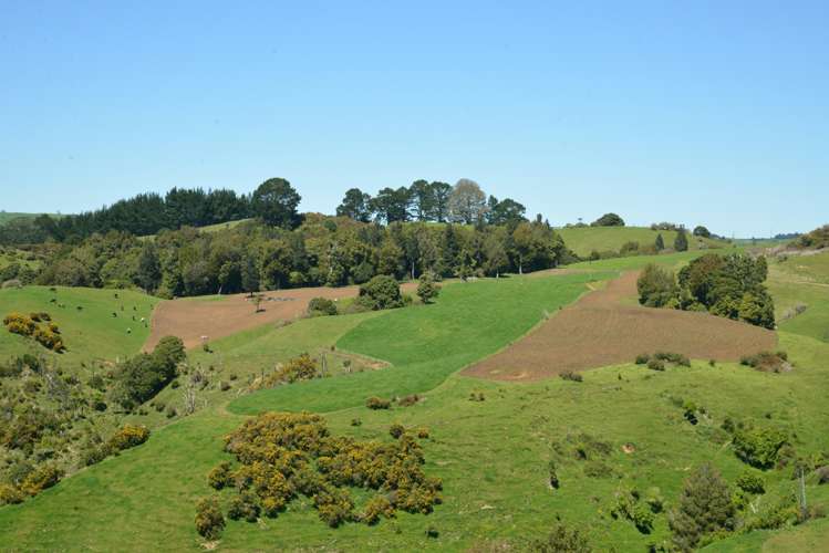 877 Puketawai Road Otorohanga_7