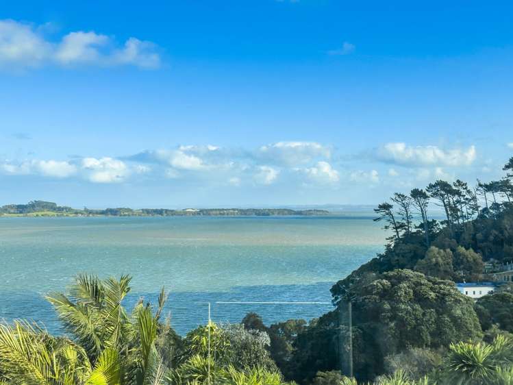 11 Hoskins Avenue Hillsborough_6