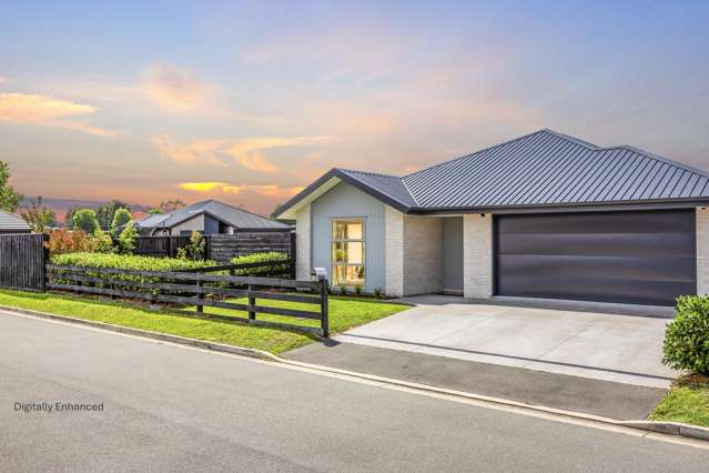 Modern Family Living in Sought-After Lincoln